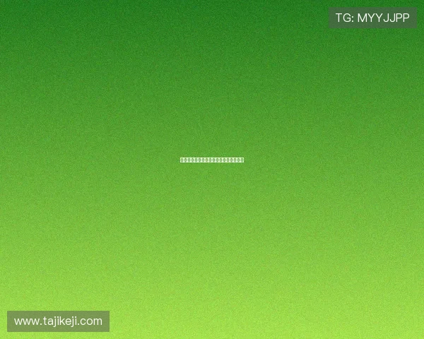 狂野天使：燃烧的自由灵魂与永恒的追寻